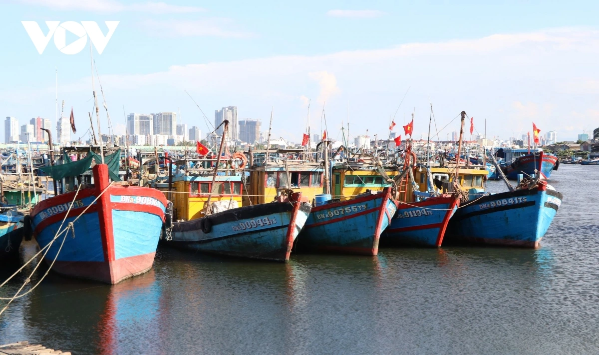 Phiên biển cuối năm, ngư dân miền Trung thực hiện nghiêm chống khai thác IUU